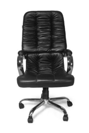 Executive Office chair