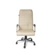 Adiko Sleek Office chair, Slim Office chair, Office chair