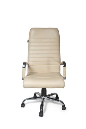 Adiko Sleek Office chair, Slim Office chair, Office chair