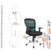 Ergonomic office chair, office chair